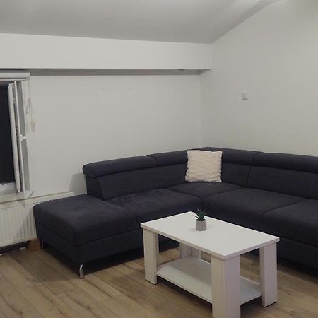 Apartman Big Novi Sad Buitenkant foto